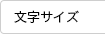 文字サイズ